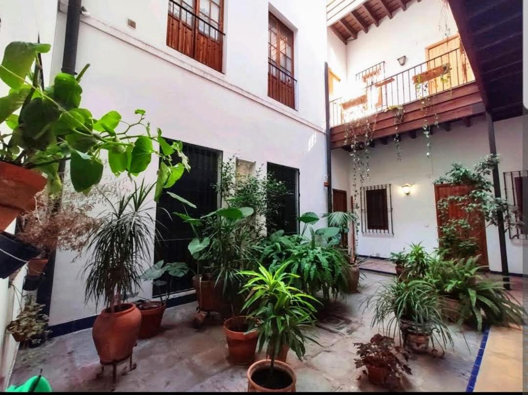 Coco Home Sevilla Urban Apartment Exteriér fotografie